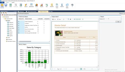 Nucleon BI Studio 12.0.0.10122